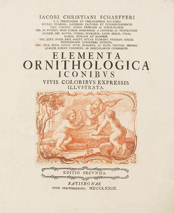 Jacob Christian Schaeffer - Elementa ornithologica iconibus vivis coloribus expressis illustrata