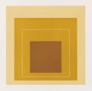 Josef Albers - White Line Square XVI