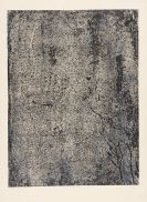 Jean Dubuffet - Profusion