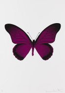 Hirst, Damien - The Souls IV