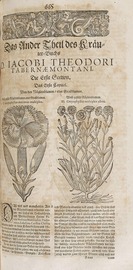 Jacobus Theodorus Tabernaemontanus