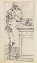 Andreas Vesalius