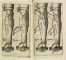 Harvey, William - Exercitationes anatomicae