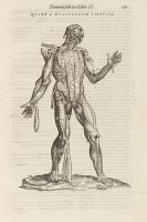 Andreas Vesalius