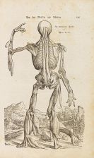Leveling, Heinrich - Anatomische Erklärung der Original-Figuren von Andreas Vesal