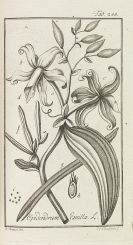 Johannes Zorn - Icones plantarum medicinalium