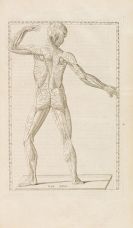 Bernard Siegfried Albinus - Explicatio tabularum anatomicarum