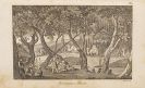 Fellows, Charles - Ausflug nach Kleinasien