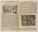 Hohberg, Wolf Helmhard von - Georgica curiosa aucta