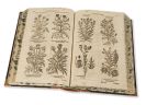 Becher, Johann Joachim - Parnassus medicinalis illustratus