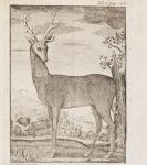 Le Verrier de la Conterie - Normannischer Jäger oder die neuste Jagdschule