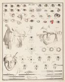 Bierkowski, Ludwig Joseph von - Anatomisch-chirurgische Abbildungen