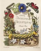 Augustin Johann Rösel von Rosenhof - Insecten-Belustigung. 4 Bände