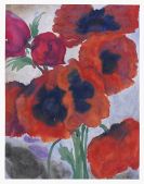 Emil Nolde - Mohnblüten