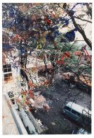 Richter, Gerhard - 17.11.88