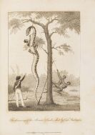 Stedman, Johann Gabriel - Narrative of a five year's expedition