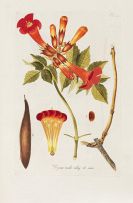 Schmidt, Franz - &Ouml;sterreichs allgemeine Baumzucht. 3 Tle. in 1 Band