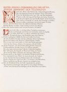 Homer - Odyssee. Cranach-Presse. 2 B&auml;nde