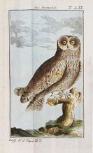 Buffon, Georges Louis Leclerc - Naturgeschichte der V&ouml;gel