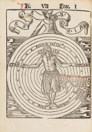 Reisch, Gregor - Margarita philosophica