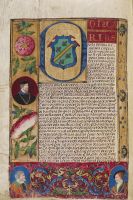 Karl V. - Carta executoria. Urkunde (ausgegeben als Carlos I.). Valladolid 1548