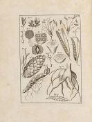 Lueder, Franz Hermann Heinrich - Botanischepraktische Lustg&auml;rtnerey