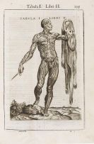Valverde de Hamusco, Juan de - Anatome corporis humani