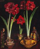 B&ouml;ckstiegel, Peter August - Amaryllis