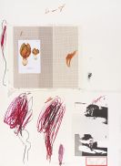 Cy Twombly - Natural History Part I, Mushrooms