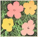 Warhol, Andy - Flowers
