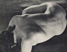 Stone, Sasha - Femmes. + Beigabe: Expl. in Einbandvariation