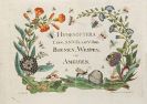 Christ, Johann Ludwig - Naturgeschichte, Klassification und Nomenclatur der Insekten