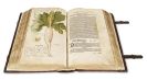 Fuchs, Leonhart - New Kre&uuml;terbuch
