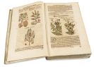 Mattioli, Pietro Andrea - Kreutterbuch