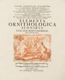 Schaeffer, Jacob Christian - Elementa ornithologica iconibus vivis coloribus expressis illustrata