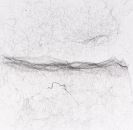 Saraceno, Tom&aacute;s - Semi-social mapping of BD+44&deg; 631 by a solo Cyrtophora citricola - three weeks