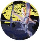 Richter, Gerhard - Goldberg-Variationen